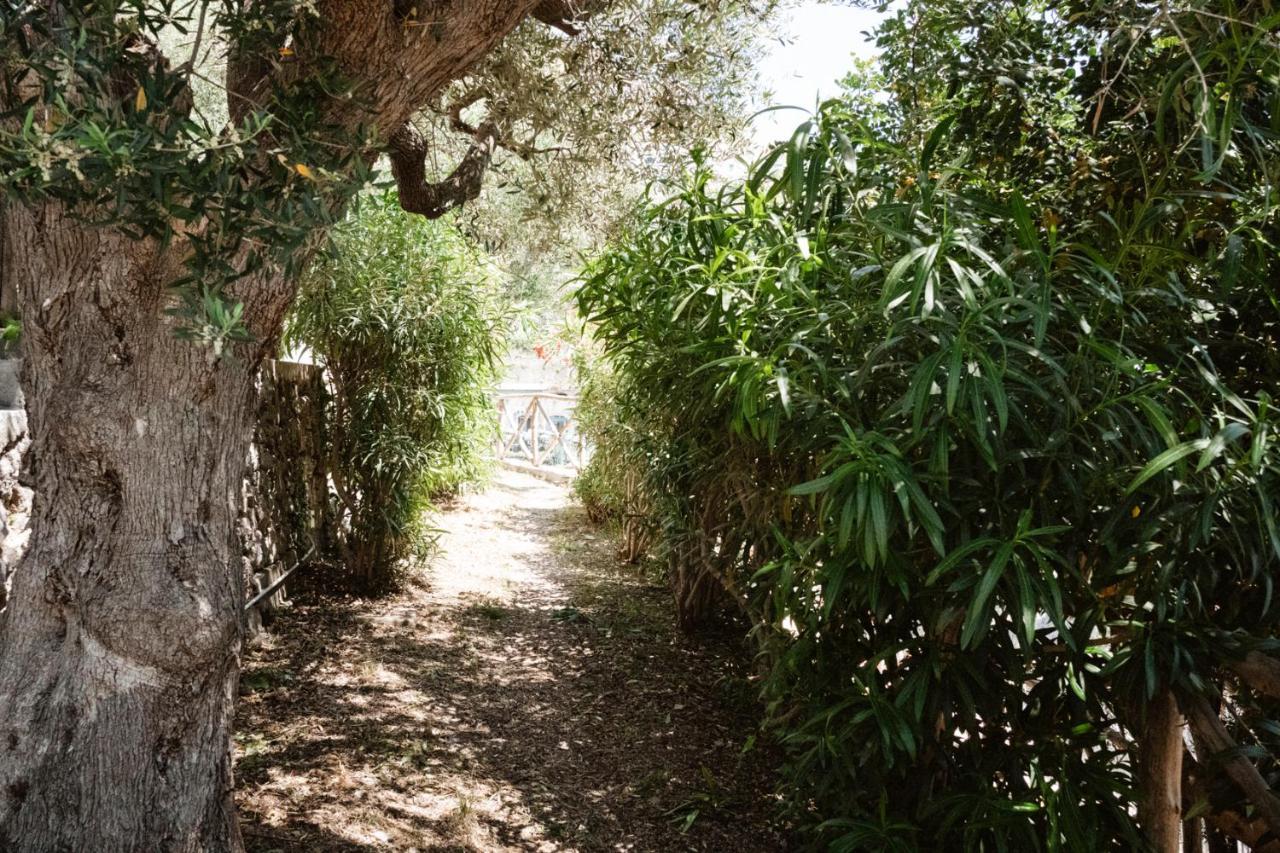Casa Gioia Lägenhet Amalfi Exteriör bild